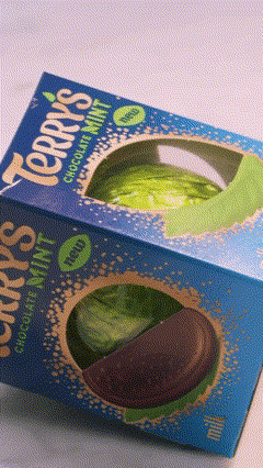 Terry's Chocolate Orange Mint Recipe Lifestyle