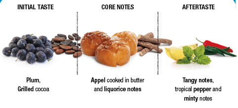 Cluizel La Laguna Guatemala 70% Dark Couverture Chocolate Mini Grammes Flavor Notes