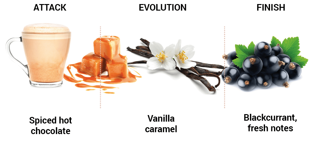 Cluizel San Martín Peru Organic 48% Milk Chocolate Couverture Mini Grammes Flavor Notes