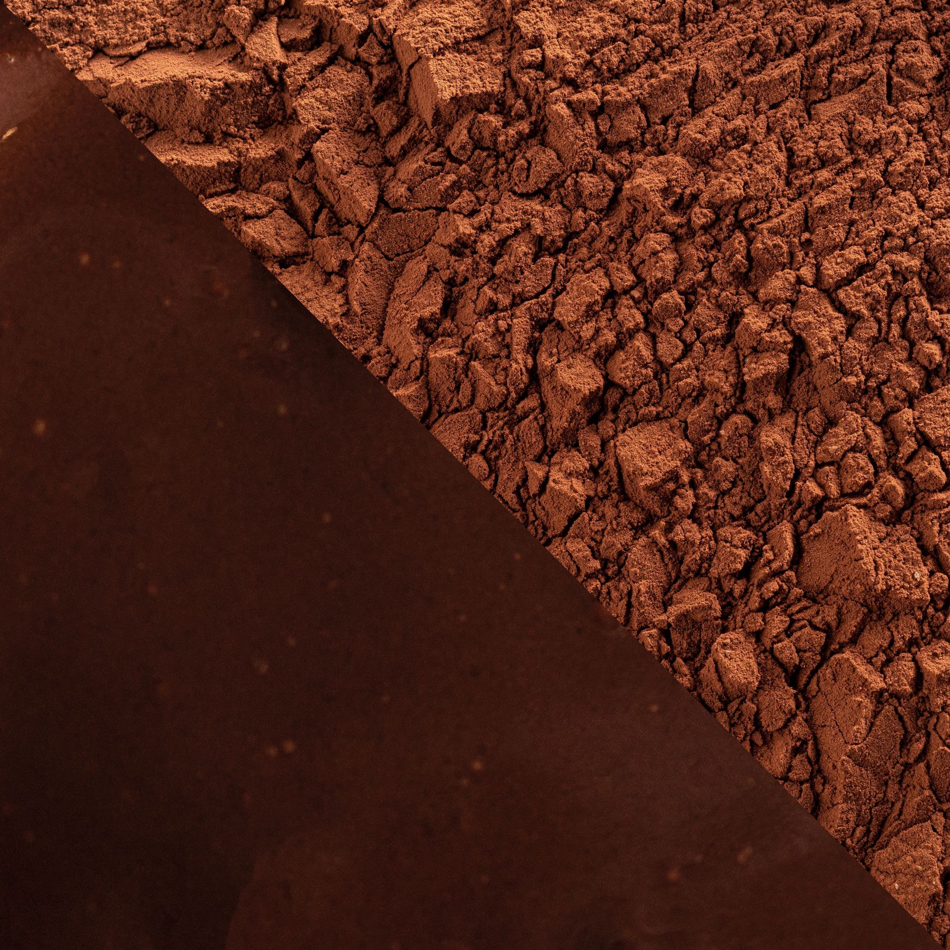 Cacao Barry Extra Brute 22-24% Dutched Cocoa Powder Loose