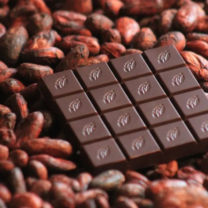 Willie's Cacao Rio Caribe Gold Venezuela 72% Dark Chocolate Bar Open