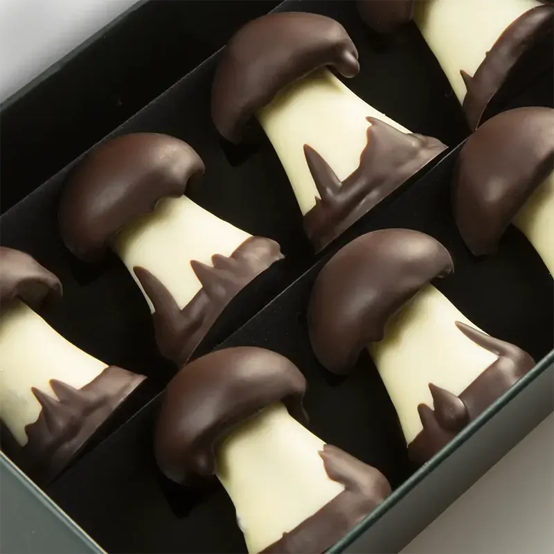 Cluizel 7-Piece Caramel Chocolate Mushroom Gift Box Open Lifetstyle