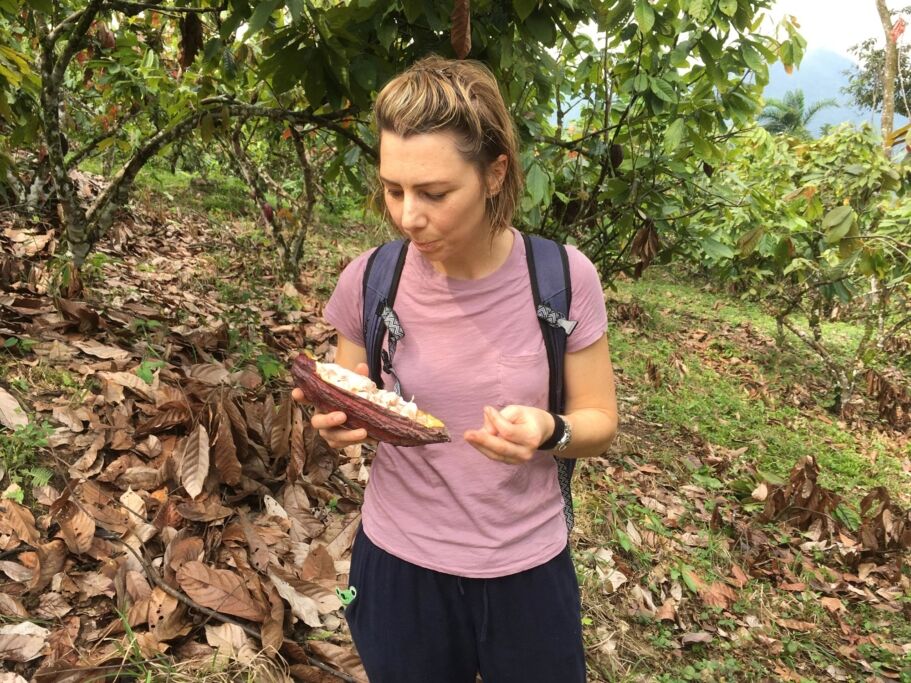 Goodnow Farms Boyacá Colombia Monica Tasting Beans