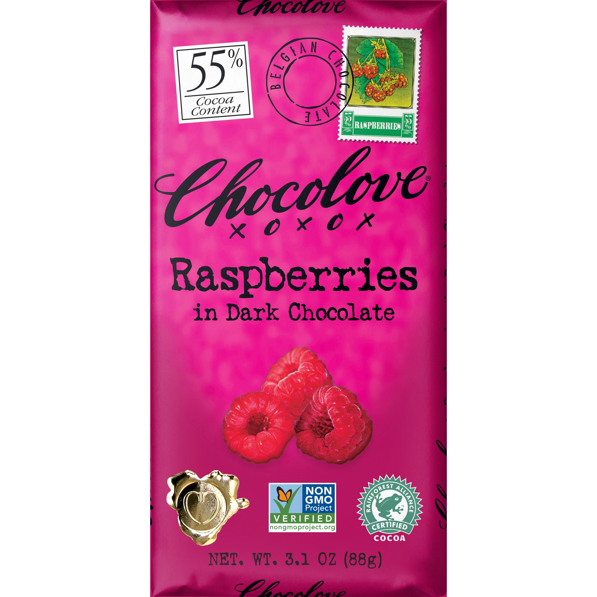 Chocolove 55% Dark Chocolate Bar with Raspberries | World Wide