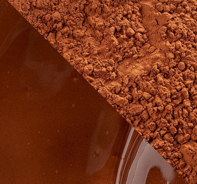 Cacao Barry Plein Arome 22-24% Dutched Cocoa Powder Loose