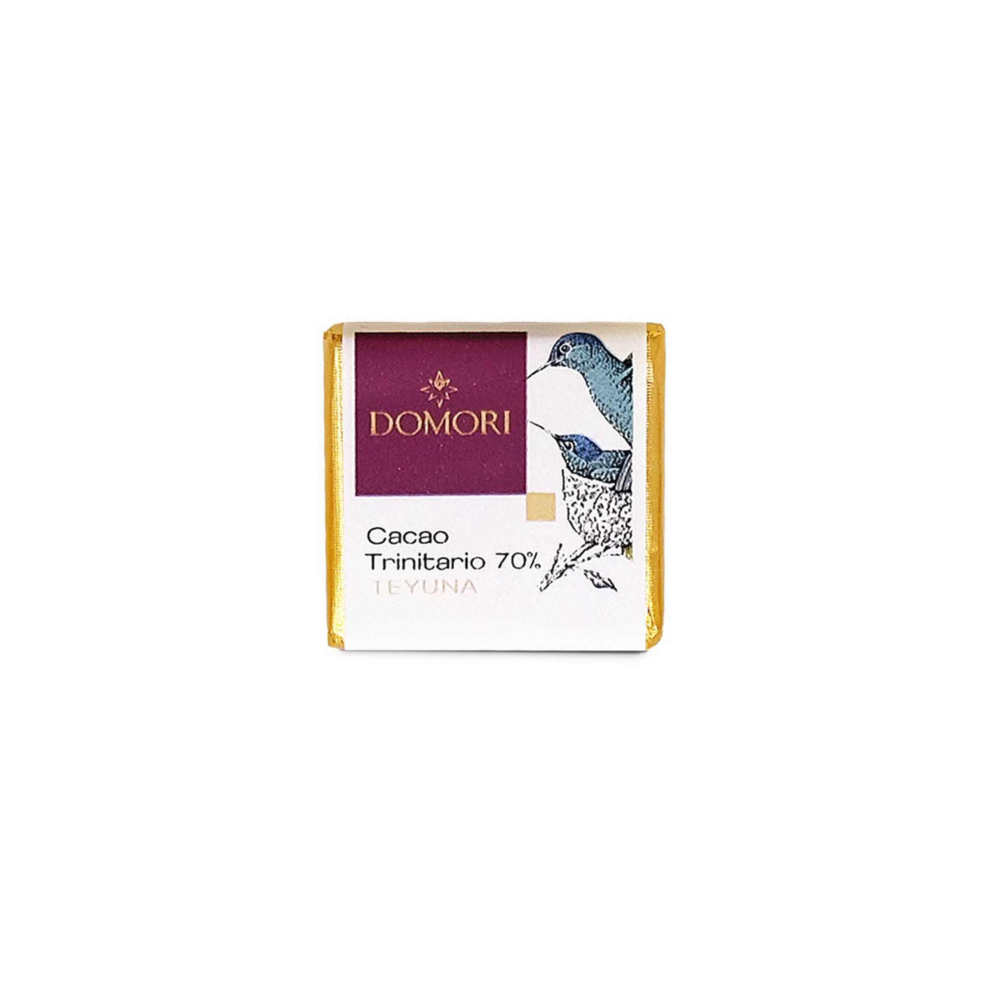 Domori Teyuna Colombia 70% Dark Chocolate Napolitain