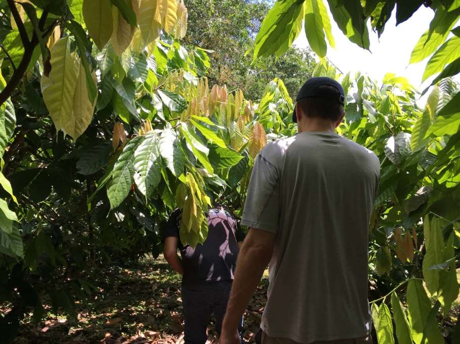 Goodnow Farms Esmeraldas Ecuador Farm 2