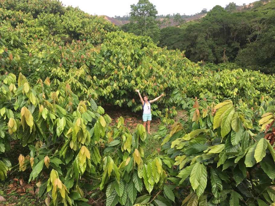 Goodnow Farms Esmeraldas Ecuador Farm