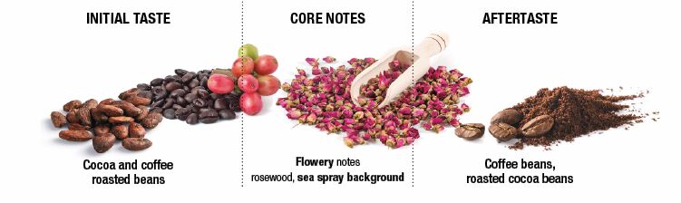 Cluizel Noir Infini 99% Dark Couverture Chocolate Mini Grammes Flavor Notes