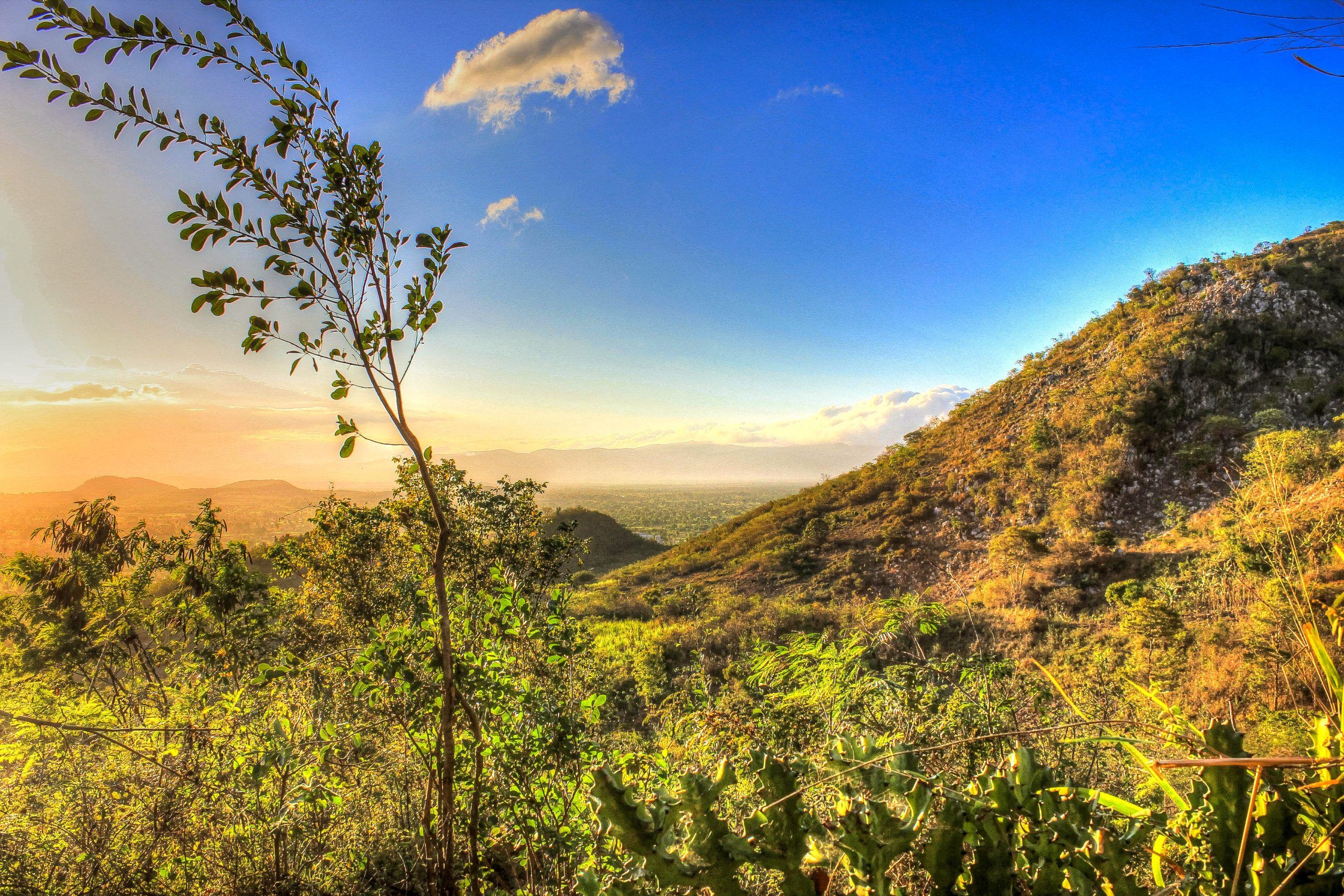 Haiti Aesthetic